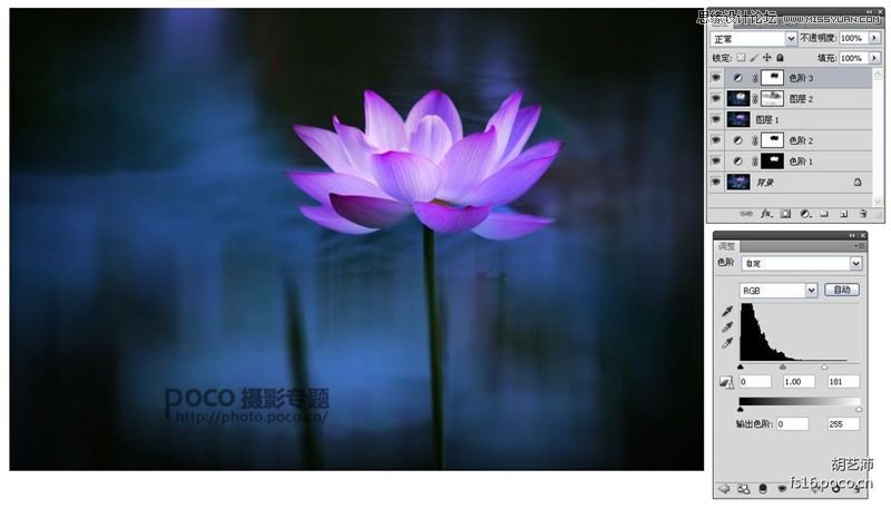 Photoshop为夏日荷花图调出清新高雅色调