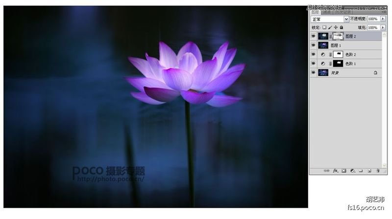 Photoshop为夏日荷花图调出清新高雅色调