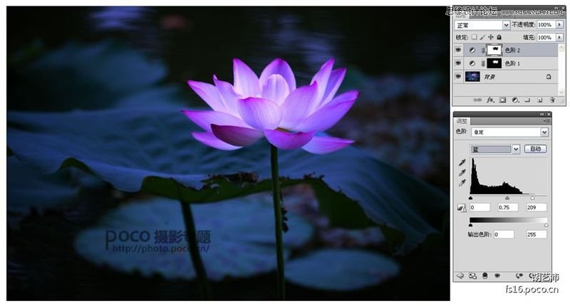 Photoshop为夏日荷花图调出清新高雅色调