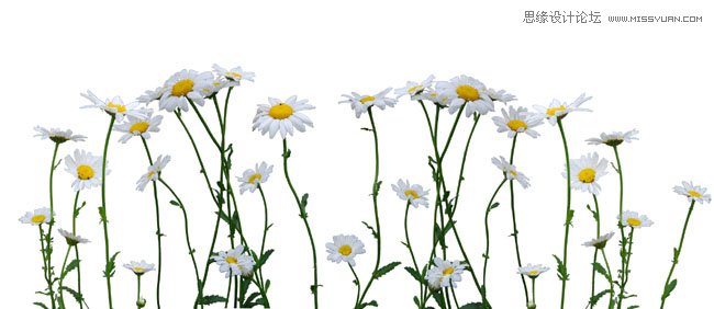 Photoshop合成唯美的蝴蝶仙子效果图