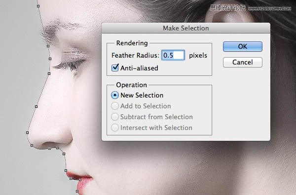 Photoshop制作人像和风景照片双重曝光效果
