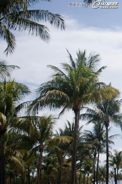 Photoshop使用画笔制作人像飘逸流体效果