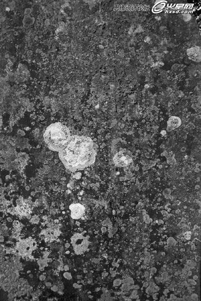 Photoshop使用画笔制作人像飘逸流体效果