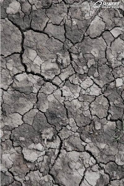 Photoshop使用画笔制作人像飘逸流体效果