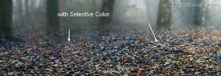 Photoshop合成唯美的森林仙子场景图