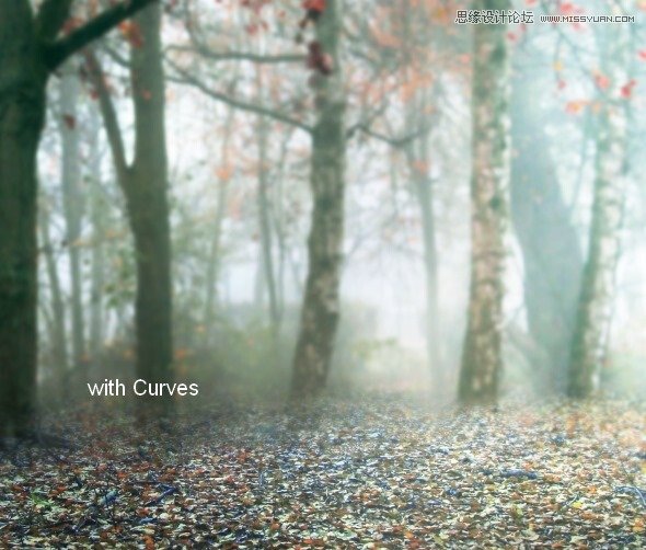 Photoshop合成唯美的森林仙子场景图