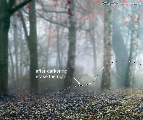 Photoshop合成唯美的森林仙子场景图