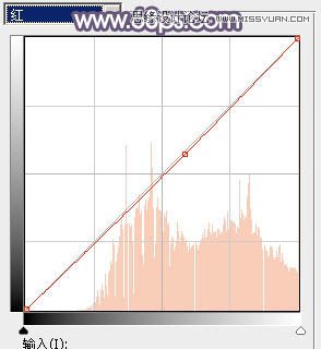 Photoshop调出可爱女孩秋季暖色效果