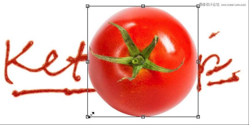 Photoshop制作超酷的番茄酱文字效果