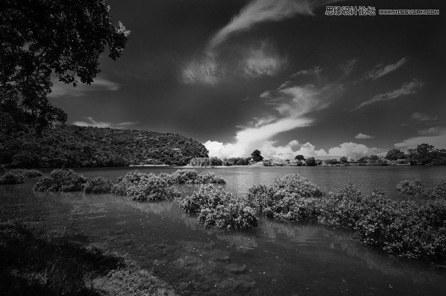 Photoshop把平凡的数码照片调成黑白效果