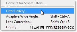 Photoshop把室内花屏花朵转化成水彩效果