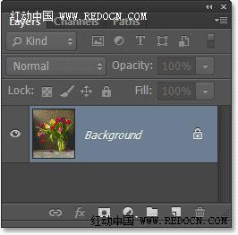 Photoshop把室内花屏花朵转化成水彩效果