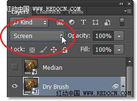 Photoshop把室内花屏花朵转化成水彩效果
