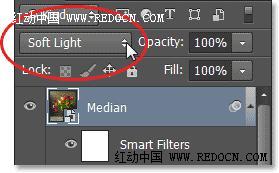 Photoshop把室内花屏花朵转化成水彩效果