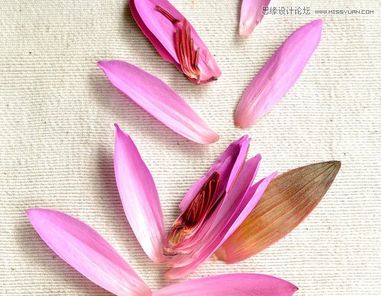 Photoshop合成绚丽城市背景的夜景婚片