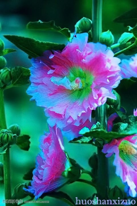 Photoshop给严重偏色的花朵照片较色