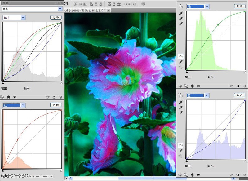 Photoshop给严重偏色的花朵照片较色