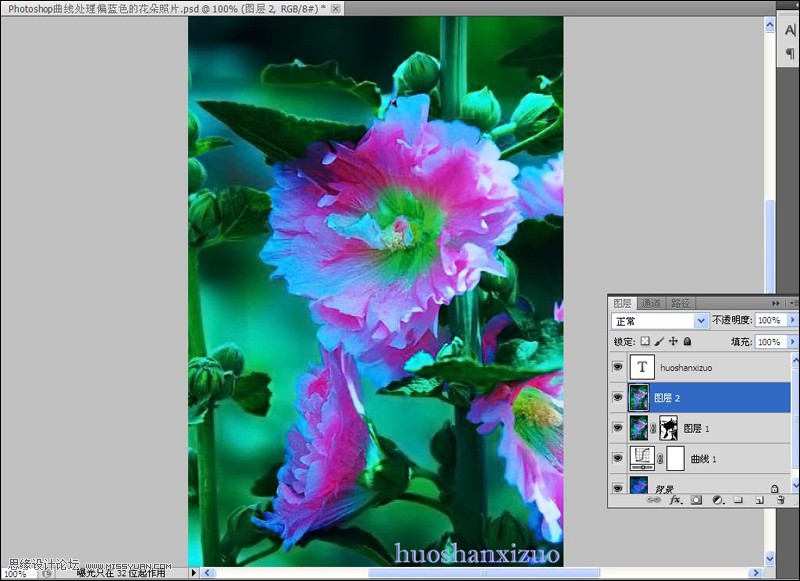 Photoshop给严重偏色的花朵照片较色