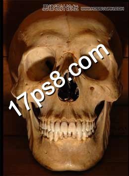 Photoshop合成恐怖效果的骷髅僵尸