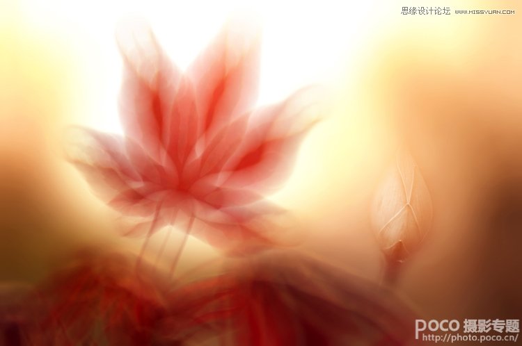 Photoshop打造抽象风格唯美枫叶效果