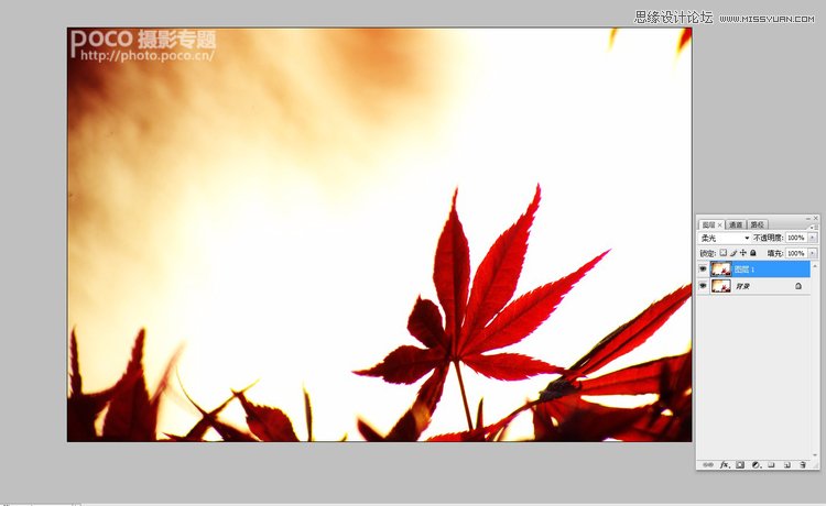 Photoshop打造抽象风格唯美枫叶效果