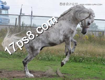 Photoshop合成跳崖轻生的千里马教程