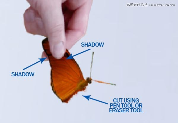 Photoshop合成纯白的超现实人像教程