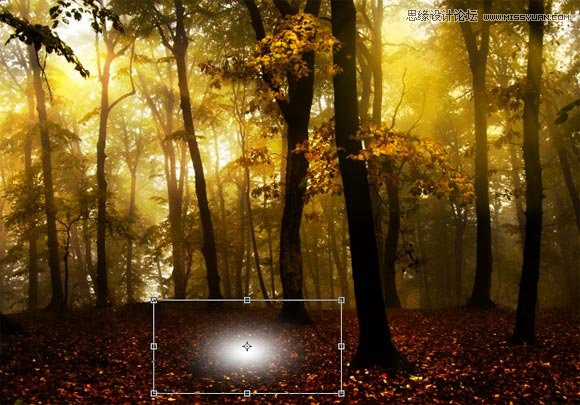 Photoshop给树林图片加上清晨的阳光光线