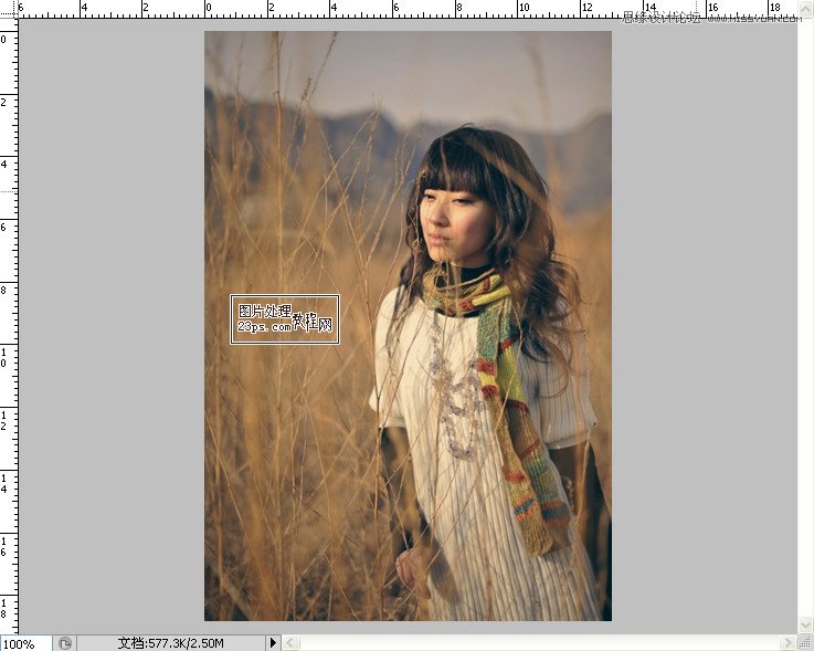 Photoshop调出冬季外景颓废色效果
