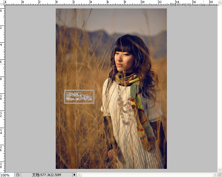 Photoshop调出冬季外景颓废色效果