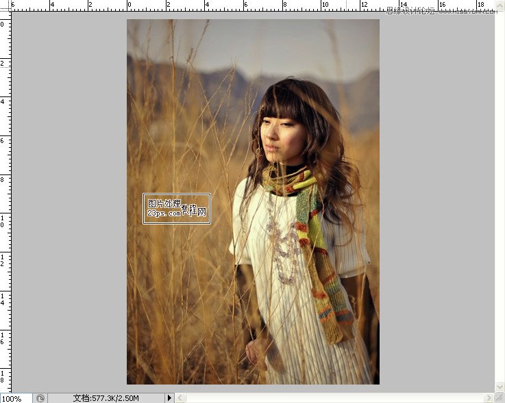 Photoshop调出冬季外景颓废色效果