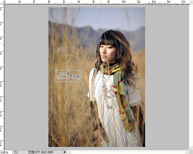 Photoshop调出冬季外景颓废色效果