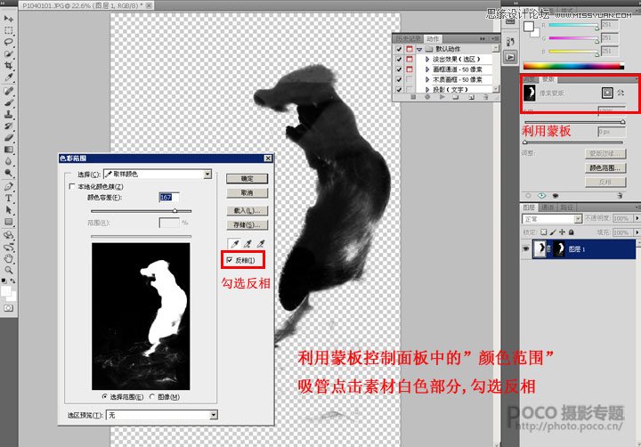 Photoshop合成蹲在树枝上的猫咪