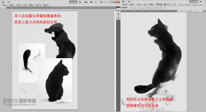 Photoshop合成蹲在树枝上的猫咪