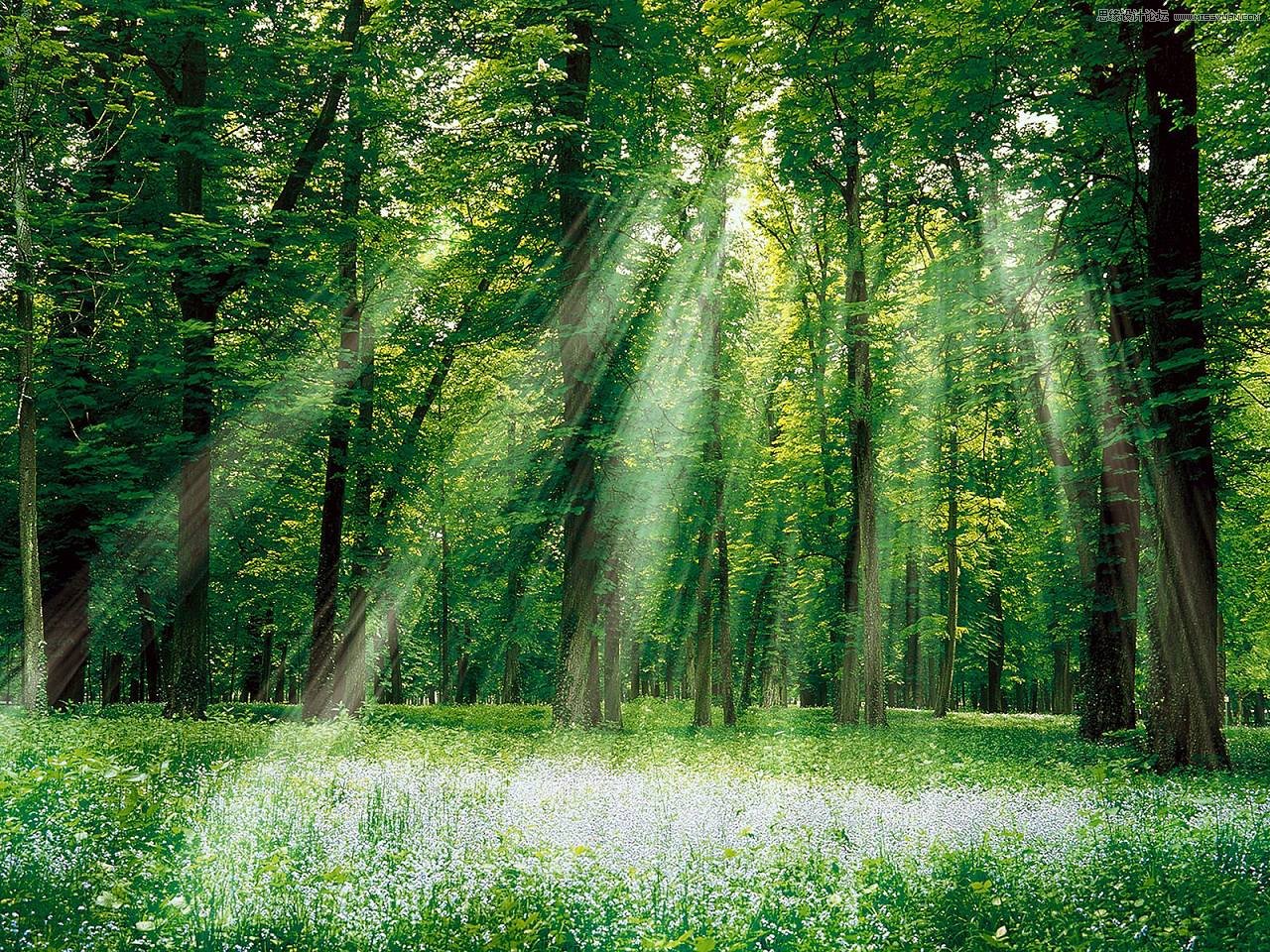 Photoshop合成梦幻的蝴蝶仙子效果