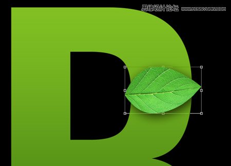 Photoshop创建清新的绿叶文字教程