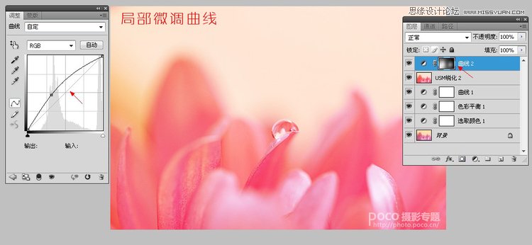 Photoshop简单调出唯美的微距花卉作品