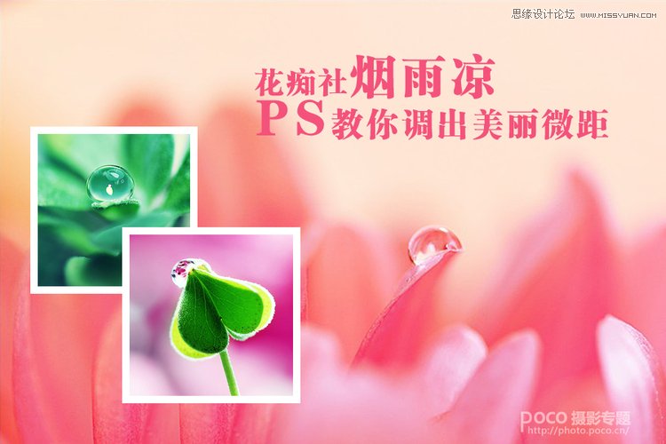 Photoshop简单调出唯美的微距花卉作品