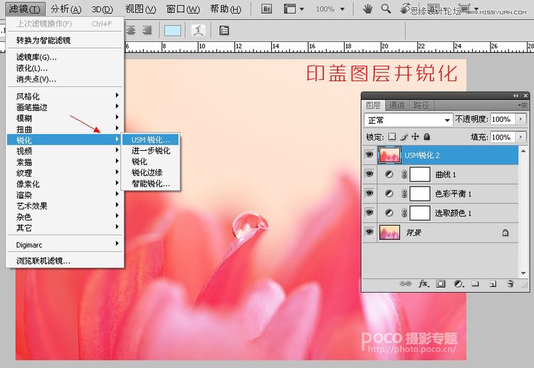 Photoshop简单调出唯美的微距花卉作品