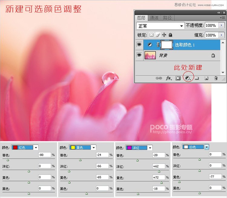 Photoshop简单调出唯美的微距花卉作品