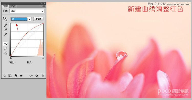 Photoshop简单调出唯美的微距花卉作品