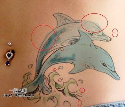 Photoshop制作海豚立体纹身效果