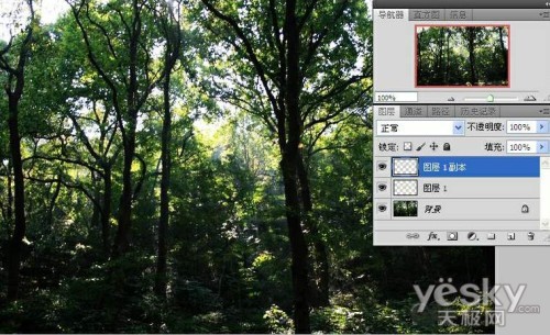 Photoshop制作树林中的透射光线