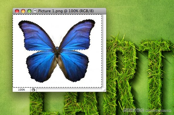 Photoshop制作超炫立体草坪文字