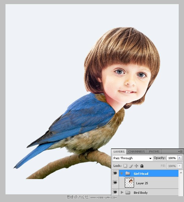 Photoshop合成教程:梦幻的小鸟女孩画像