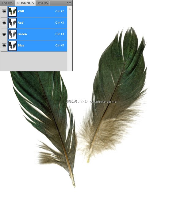 Photoshop合成教程:梦幻的小鸟女孩画像