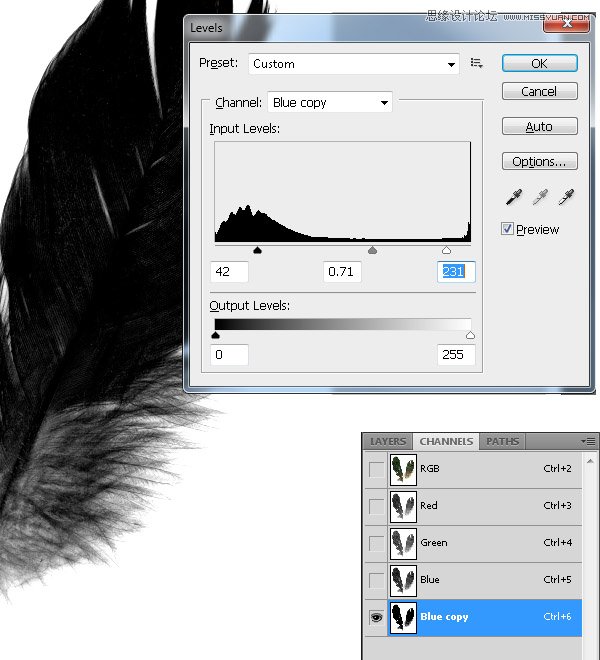 Photoshop合成教程:梦幻的小鸟女孩画像