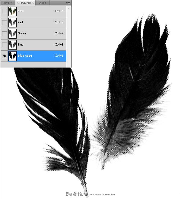 Photoshop合成教程:梦幻的小鸟女孩画像