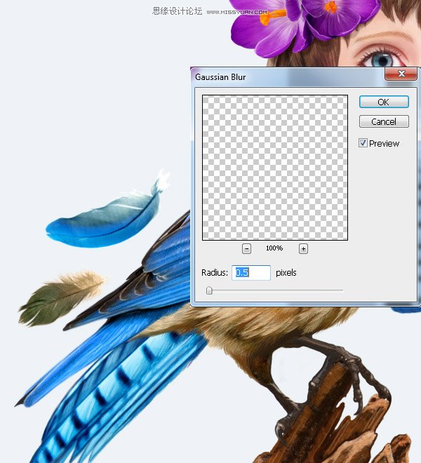 Photoshop合成教程:梦幻的小鸟女孩画像
