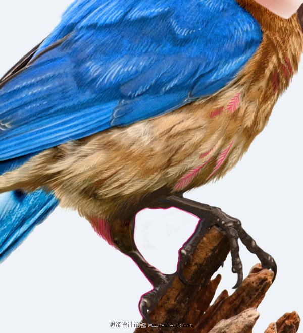 Photoshop合成教程:梦幻的小鸟女孩画像